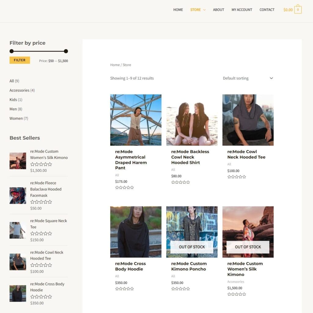 WordPress Website Build and Migration eCommerce Redesign